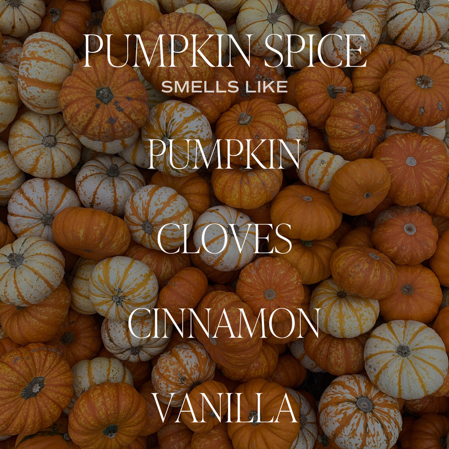 Pumpkin Spice Soy Candle – 11oz Fall Favorite by Sweet Water Decor