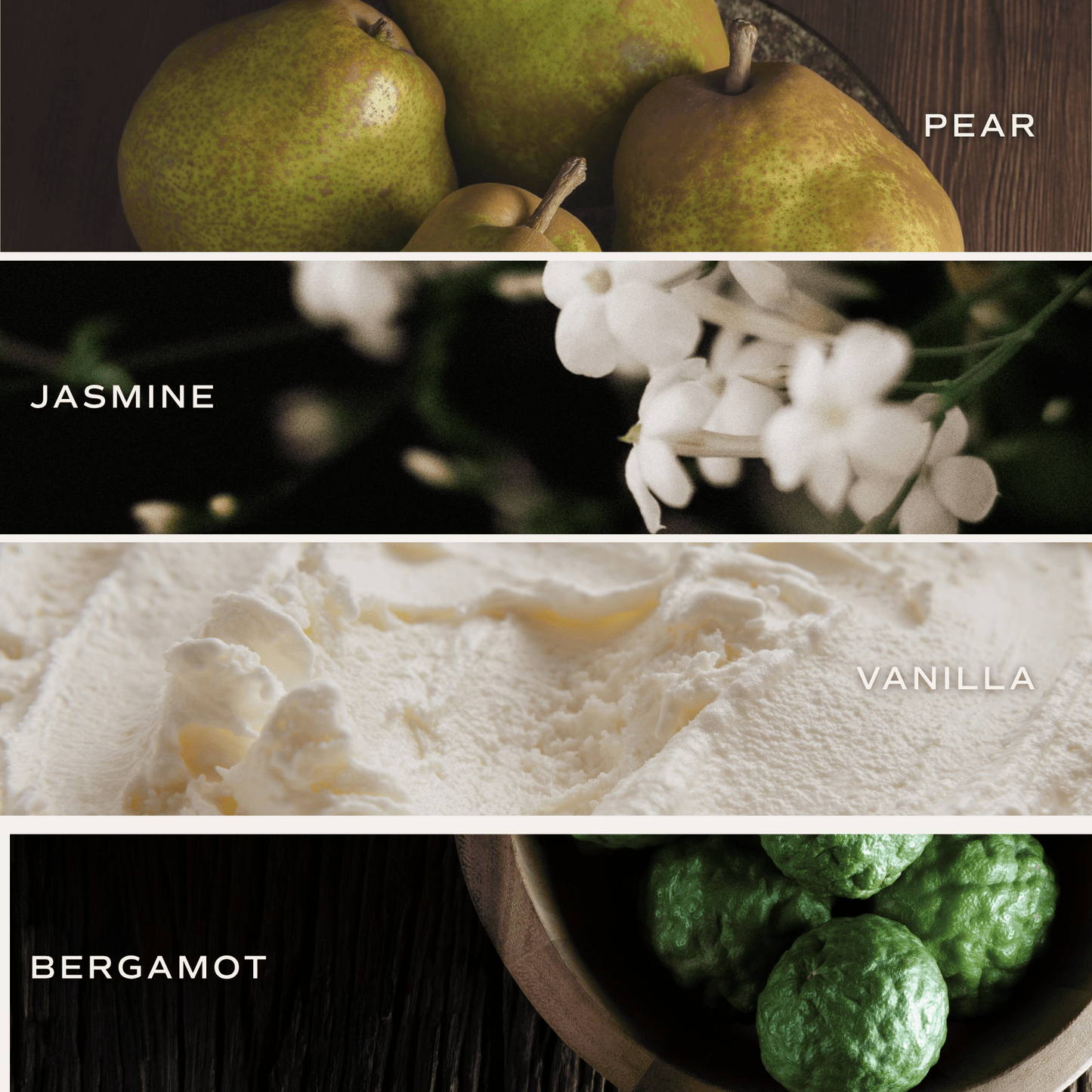 Sweet Water Decor | Forever and Always 15 oz Soy Candle | Matte Jar