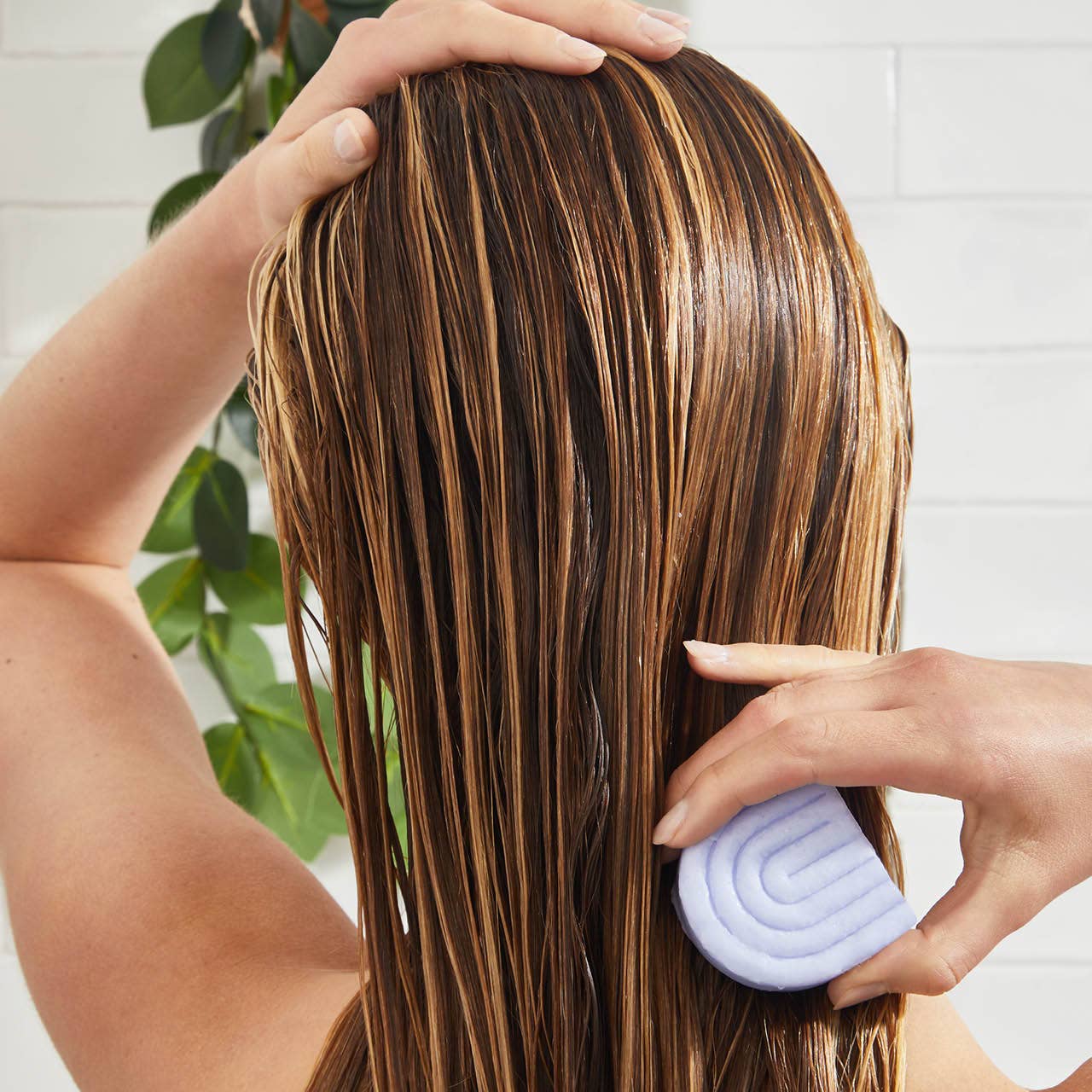 Purple Toning Shampoo + Conditioner Bar Combo for Color-Treated + Grey Hair