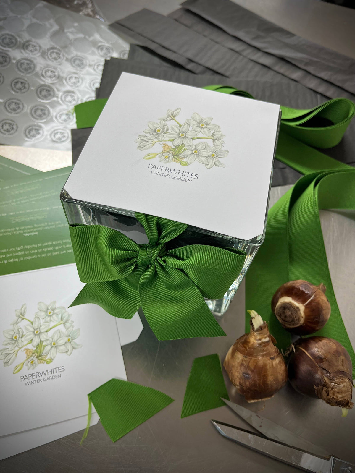 Garden in a Bag | Paperwhite