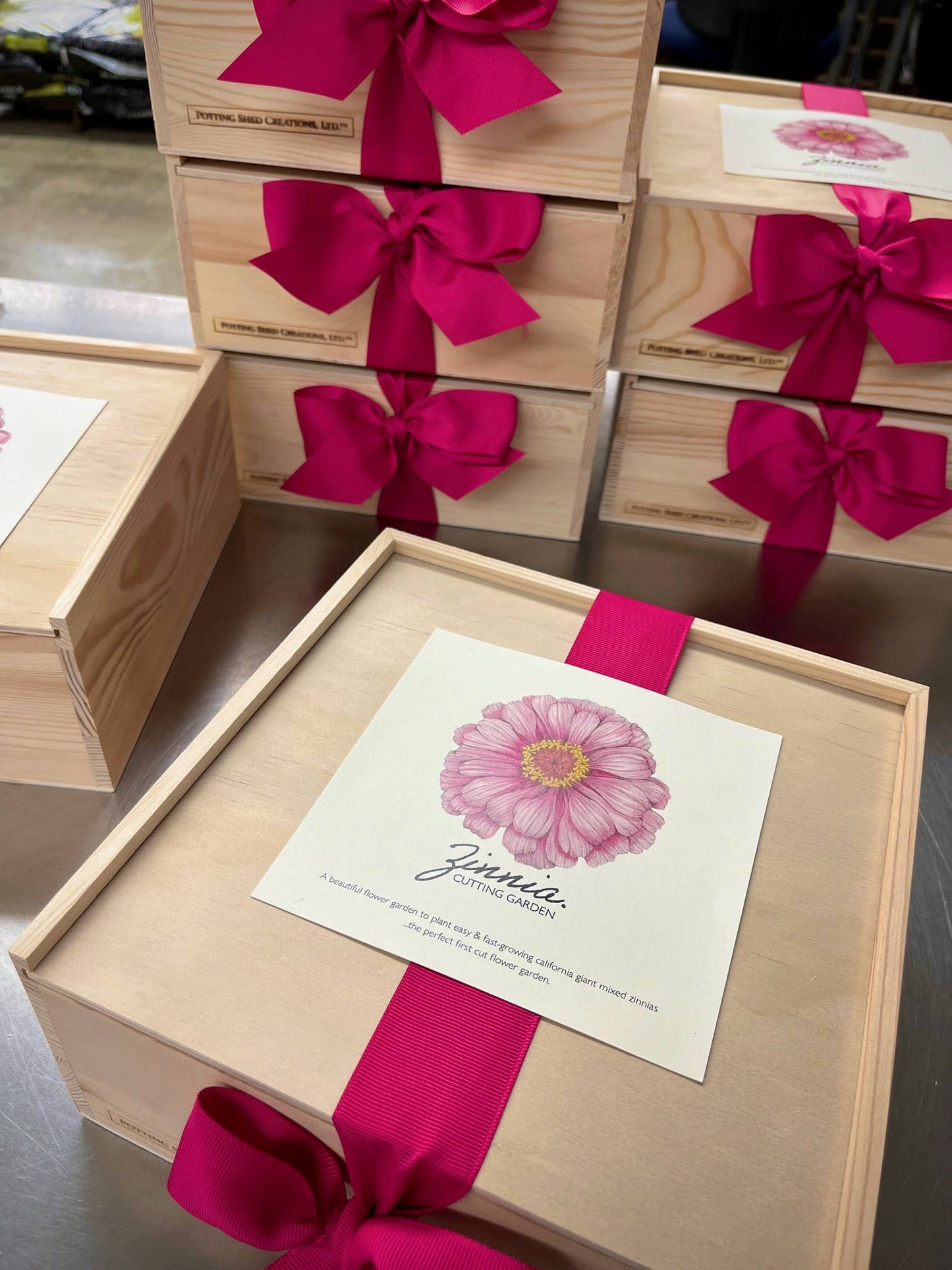 Cut + Come Again Zinnia Flower Garden Kit