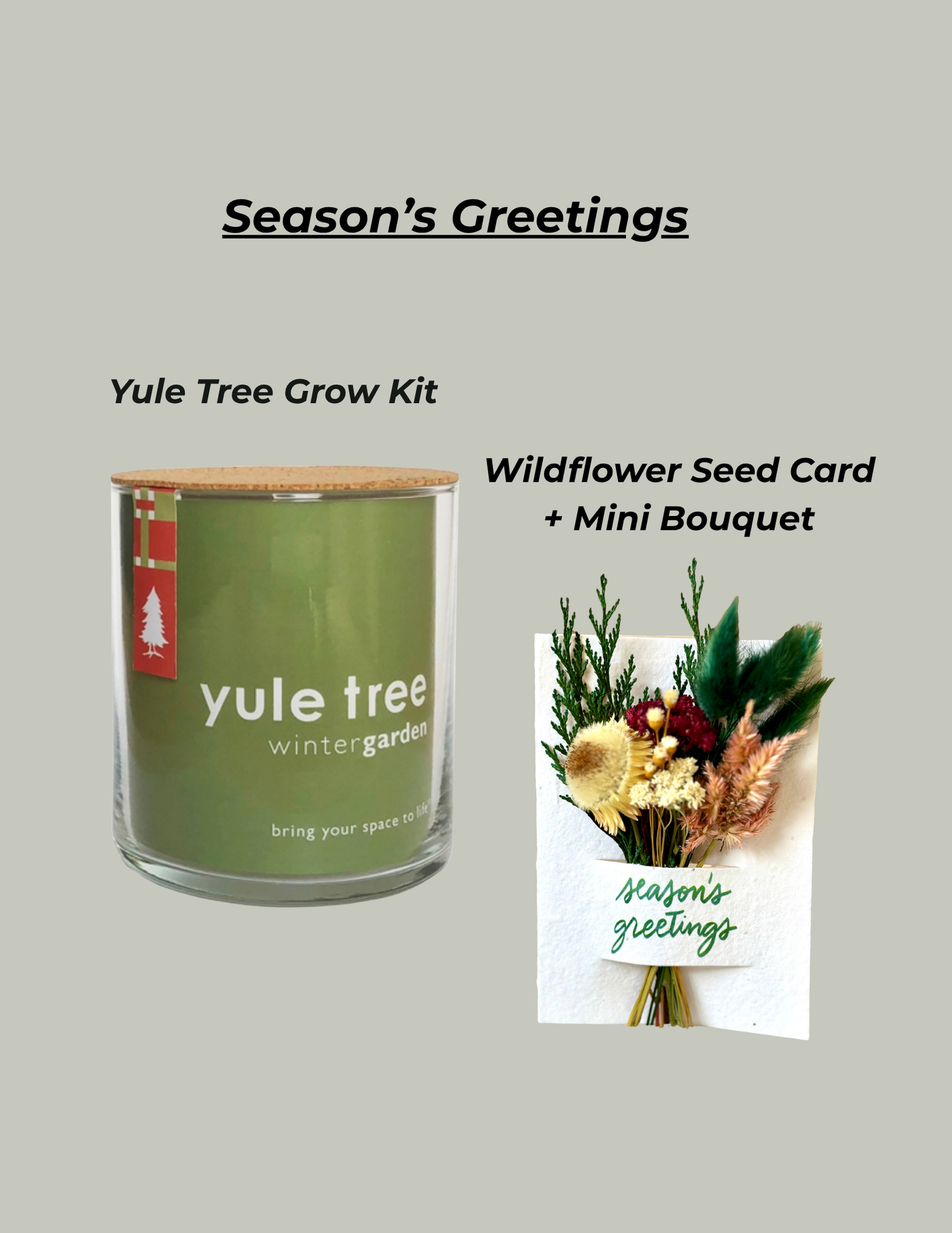 Season's Greetings
