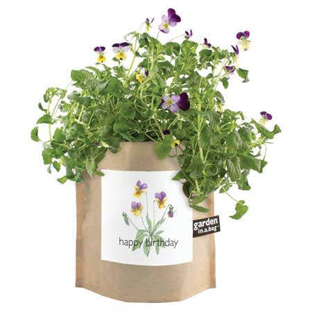 Plant in a bag with flowers and a 'happy birthday' label on a white background