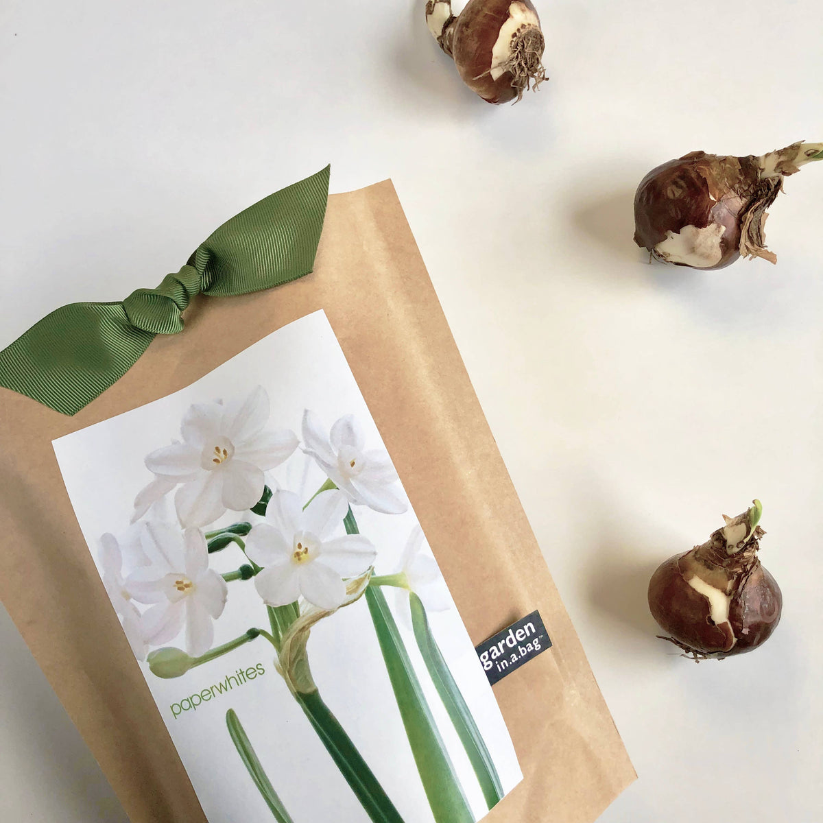 Garden in a Bag | Paperwhite