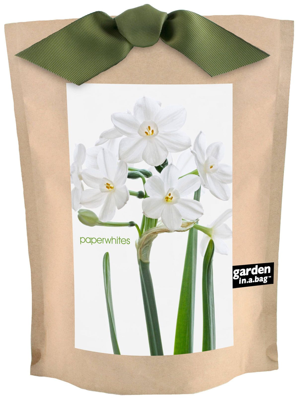 A brown kraft paper bag of Garden In A Bag paperwhites paper flowers, tied with an olive green ribbon at the top. The front of the bag features a large white label showing white daffodils with green stems.