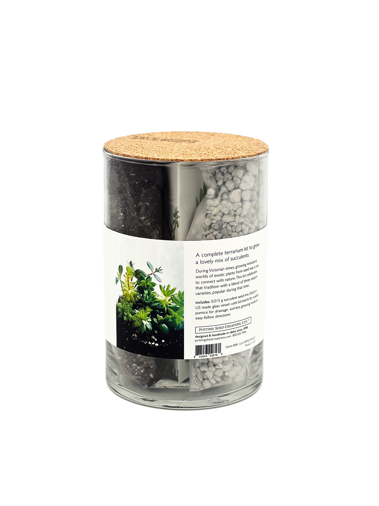 Victorian Succulent Garden Kit