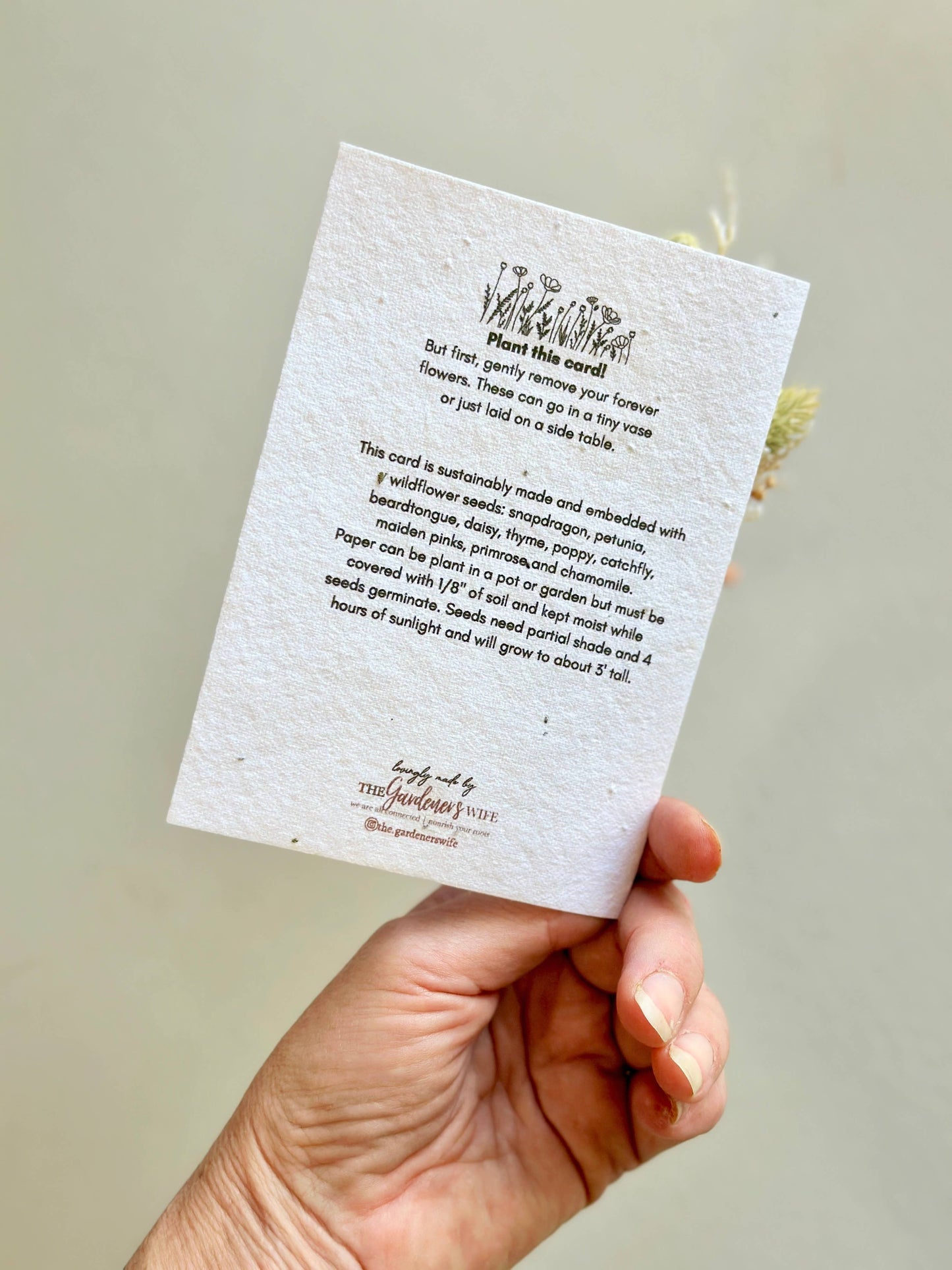 Oh Hey, Wildflower Seed Card + Mini Bouquet