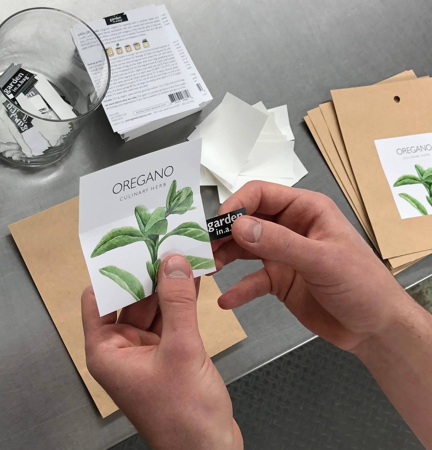 Italian Parsley Garden in a Bag | Organic Herb Grow Kit