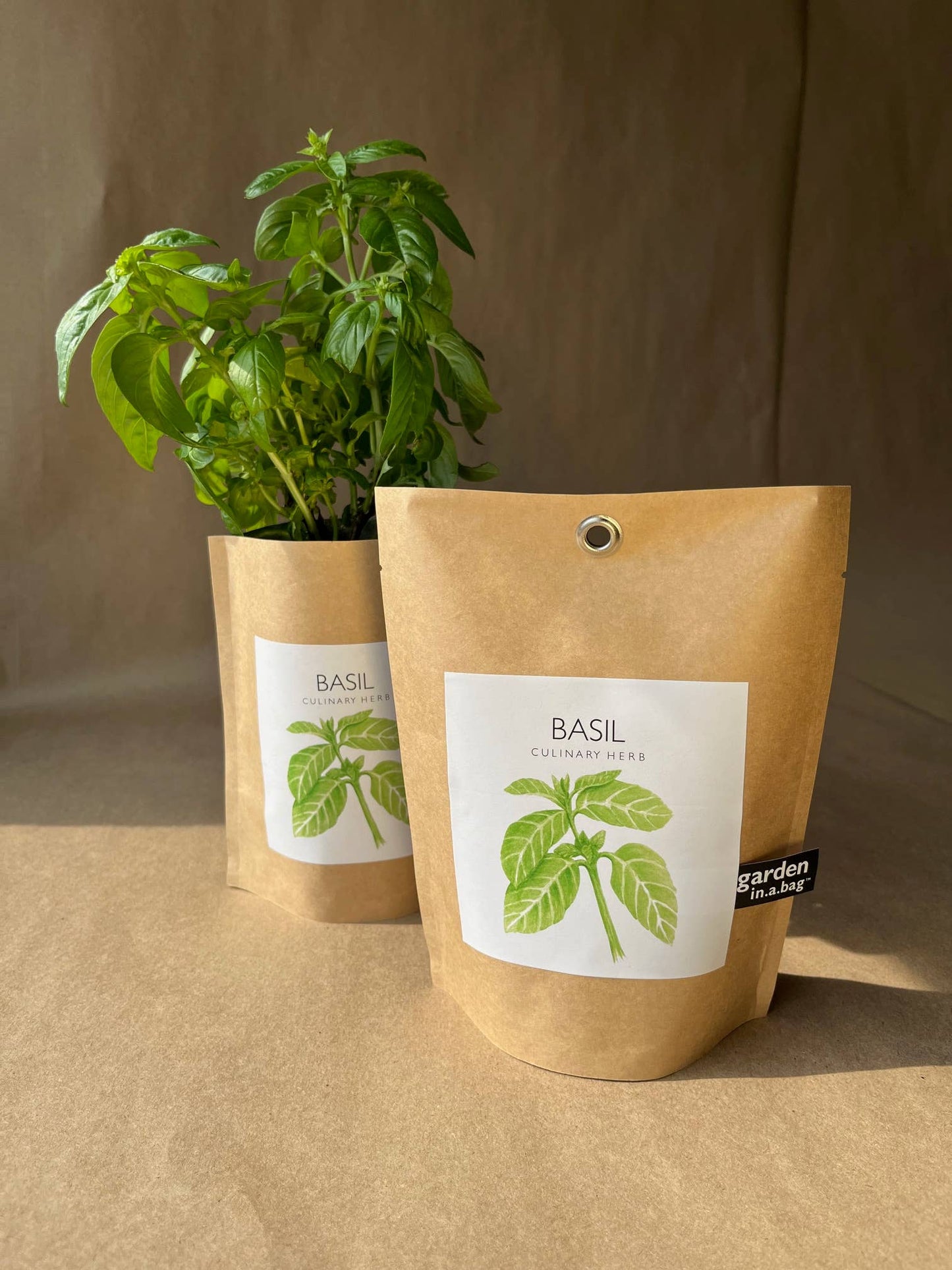 Basil Garden in a Bag | Organic Herb Grow Kit