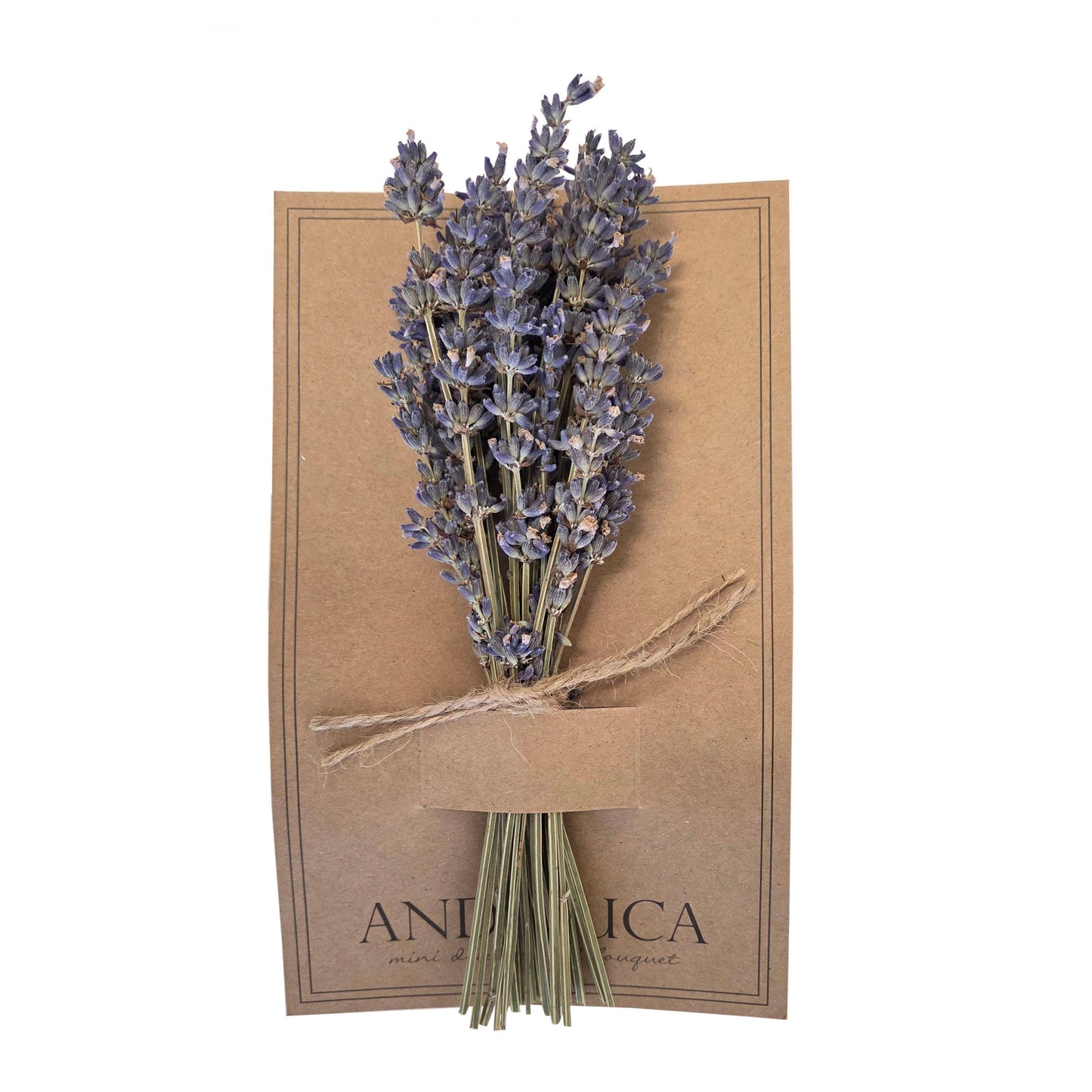 Lavender Luxe Mini