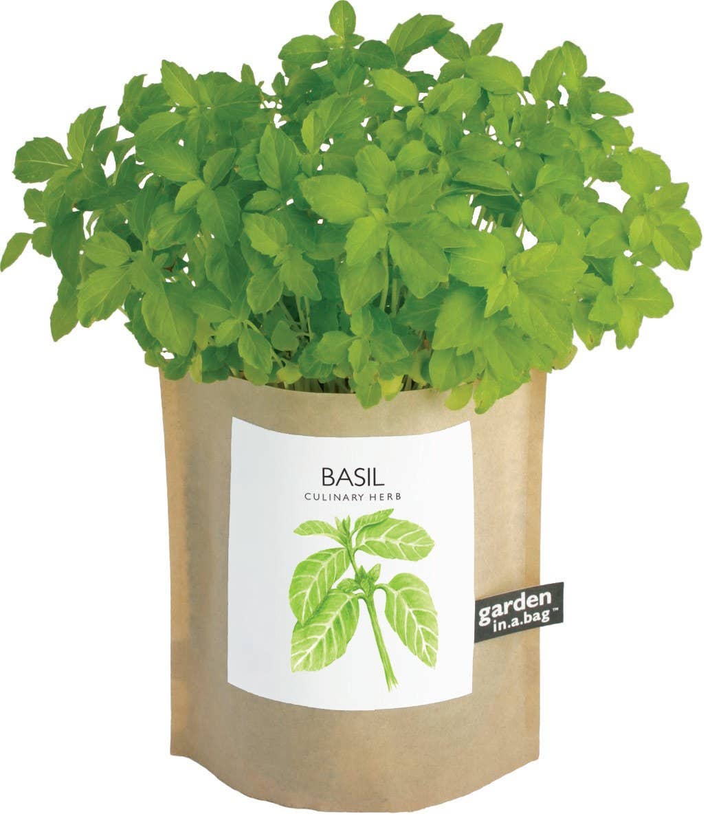 Basil Garden in a Bag | Organic Herb Grow Kit