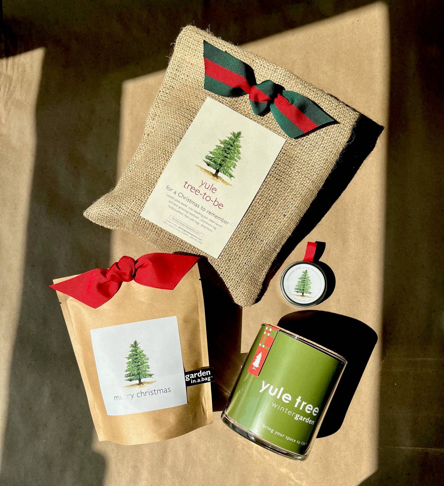 Kids Garden in a Bag 'Merry Christmas' Tree