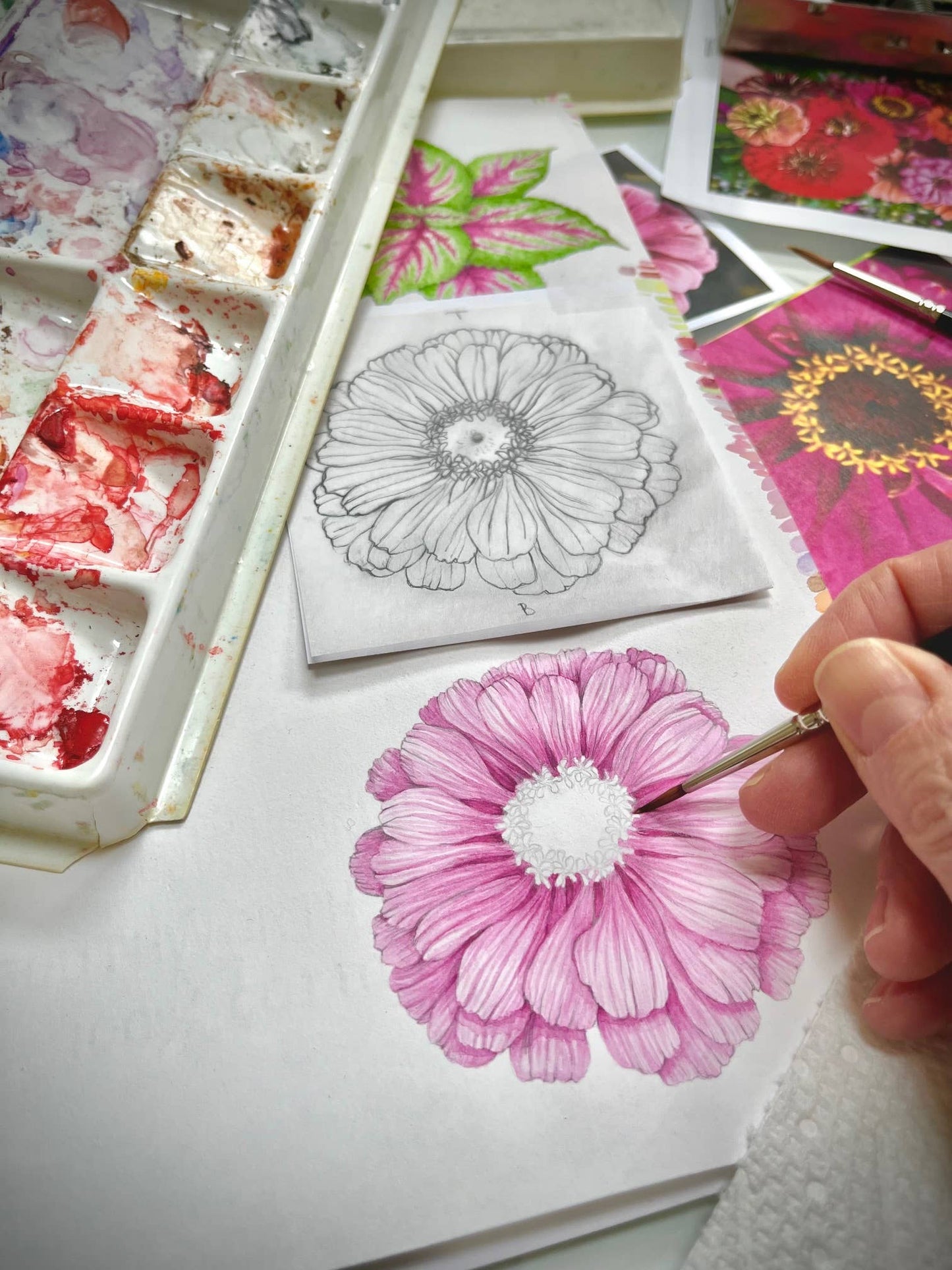Cut + Come Again Zinnia Flower Garden Kit