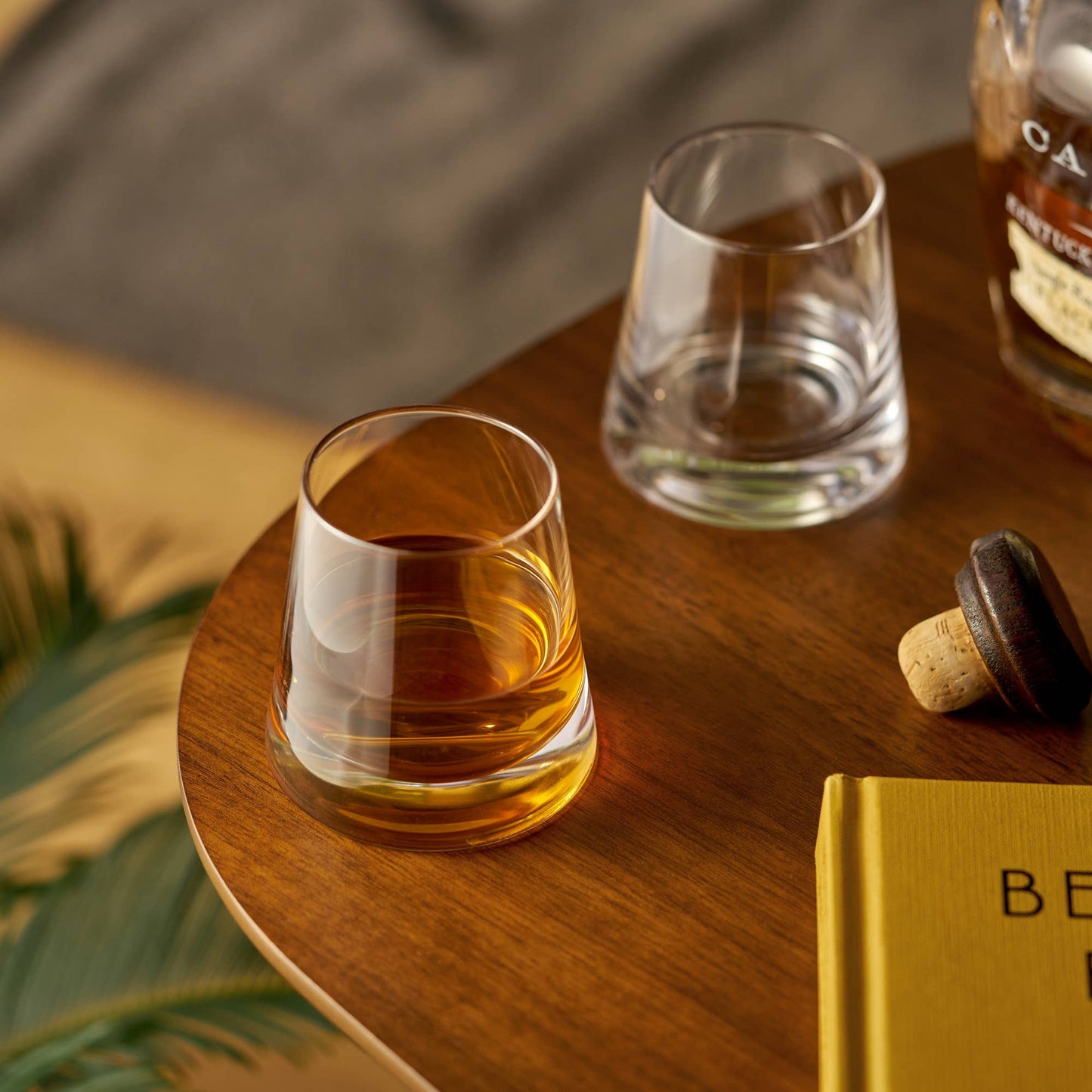 Raye™ Burke Crystal Whiskey Glasses Set of 2