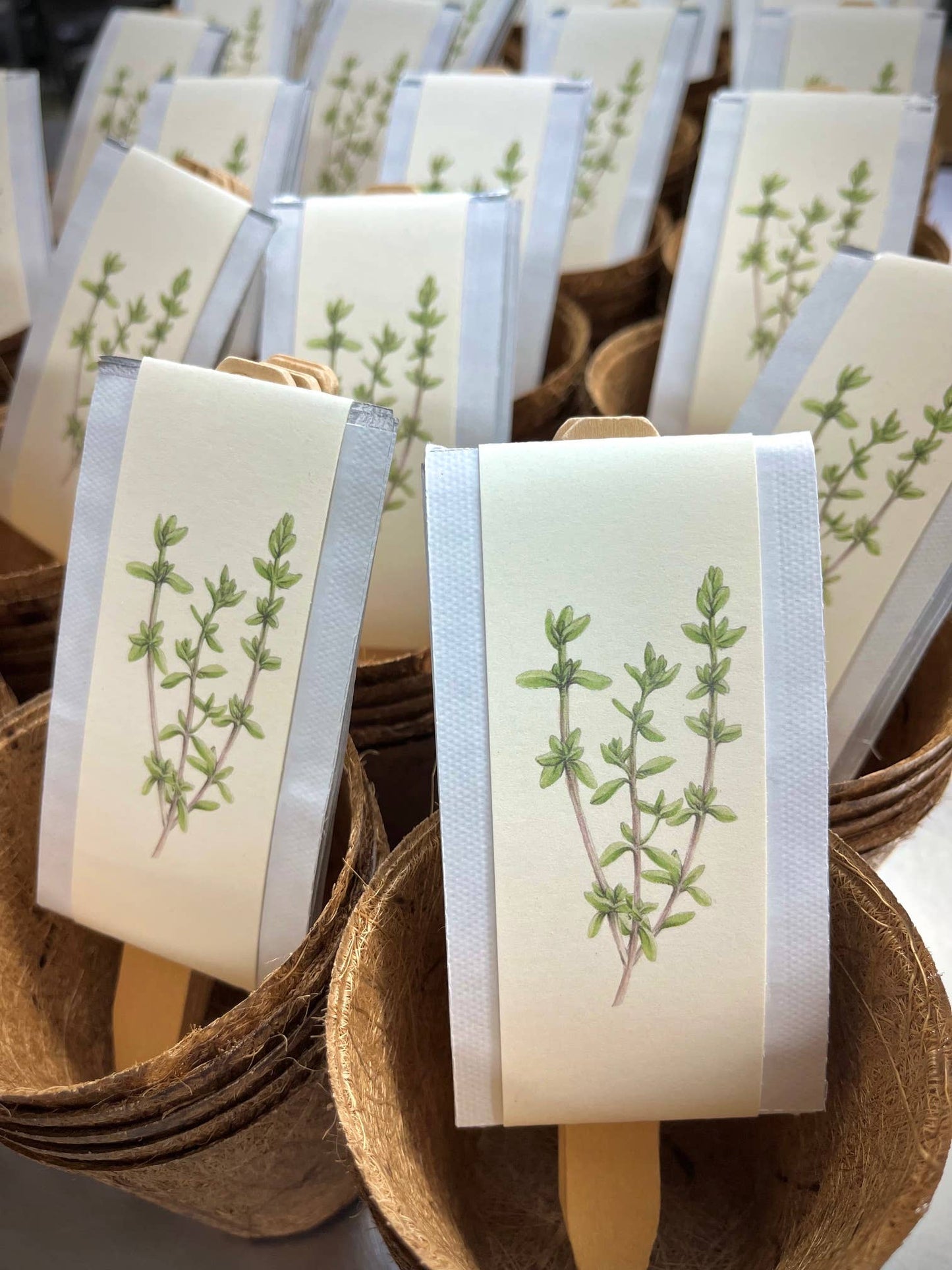 Culinary Herb Garden Kit