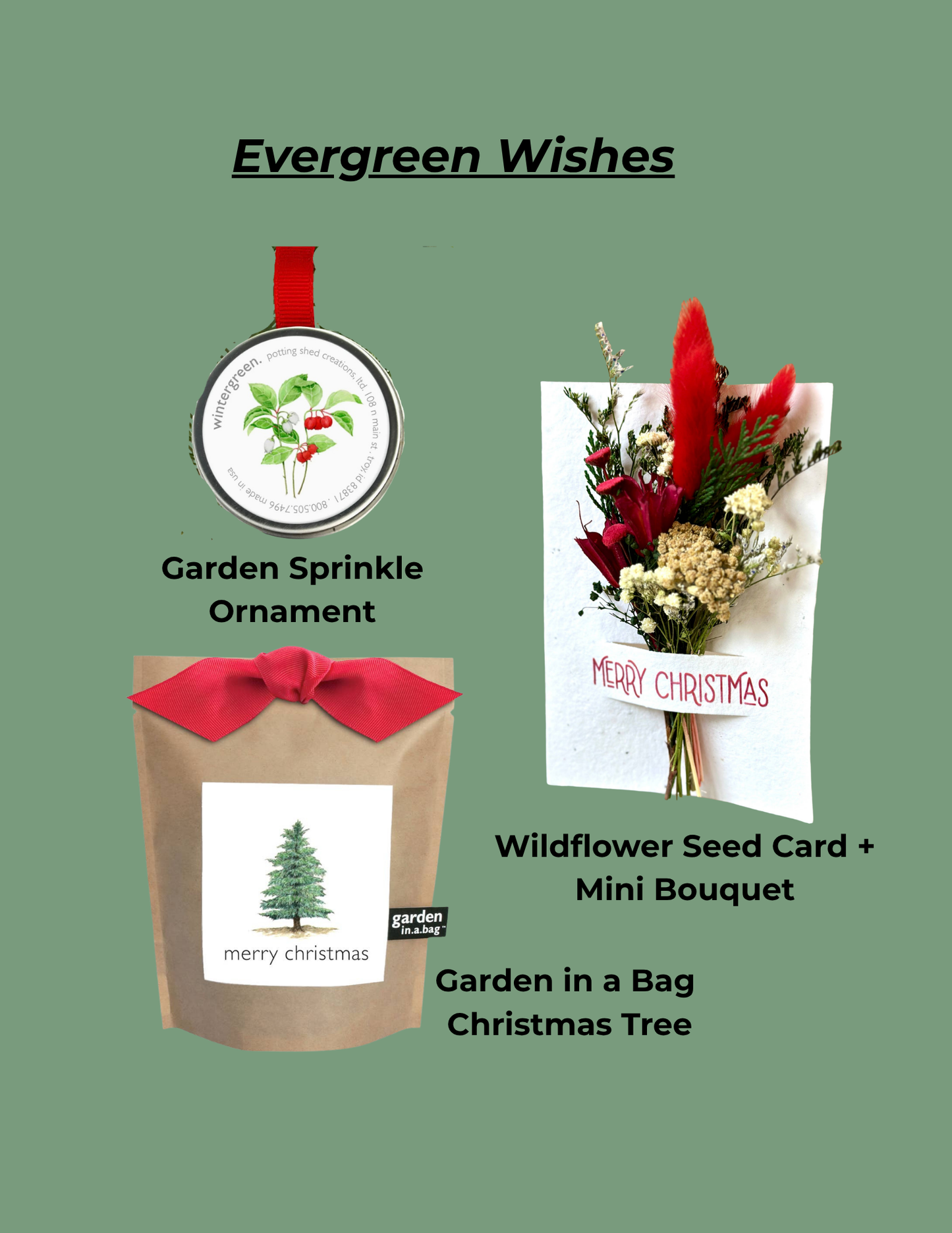 Evergreen Wishes