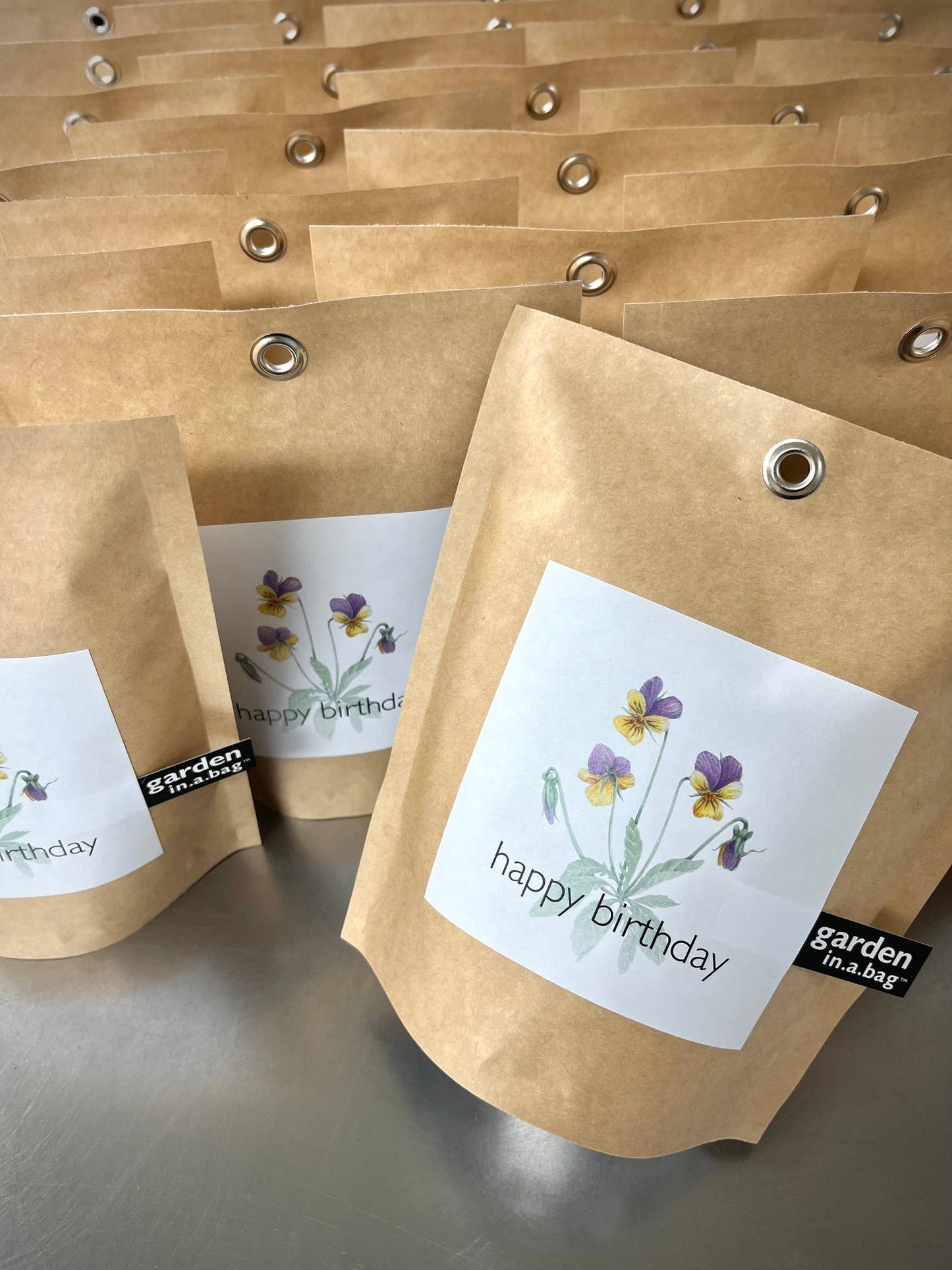 Dwarf Zinnia Garden Kit