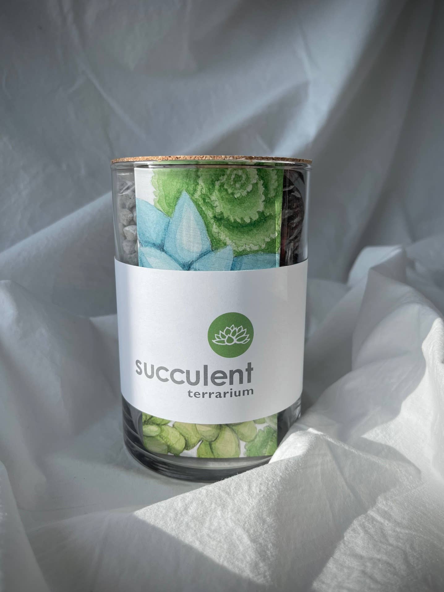 Victorian Succulent Garden Kit