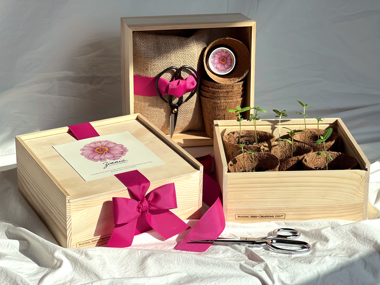 Wooden gift box with pink ribbon, scissors, and small plants on a white surface.