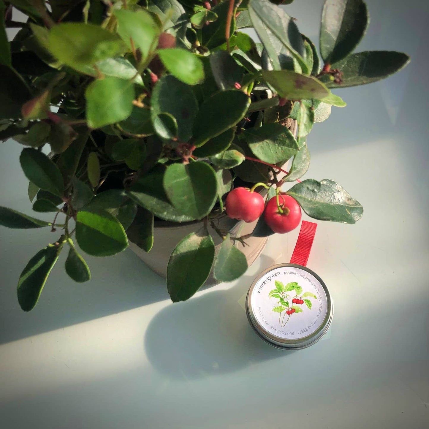 Garden Sprinkle Ornaments | Christmas Wintergreen