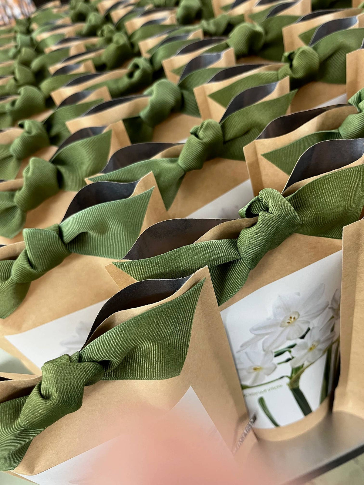 Garden in a Bag | Paperwhite