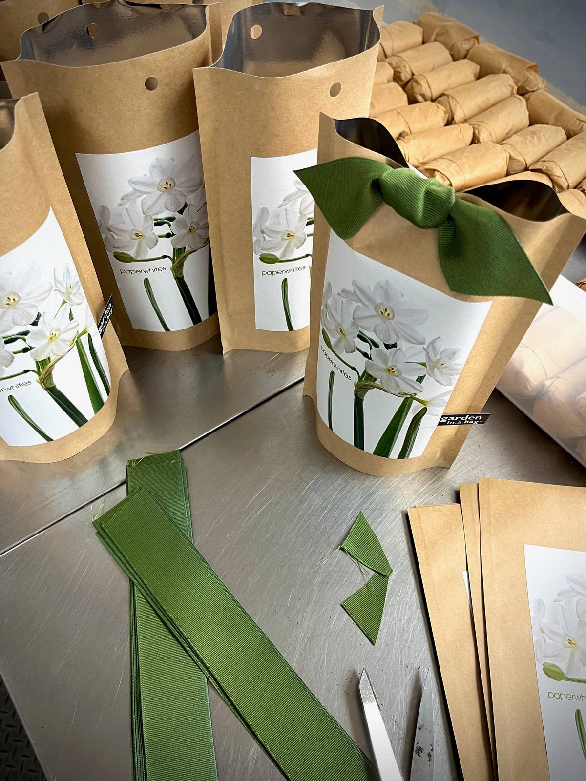 Garden in a Bag | Paperwhite