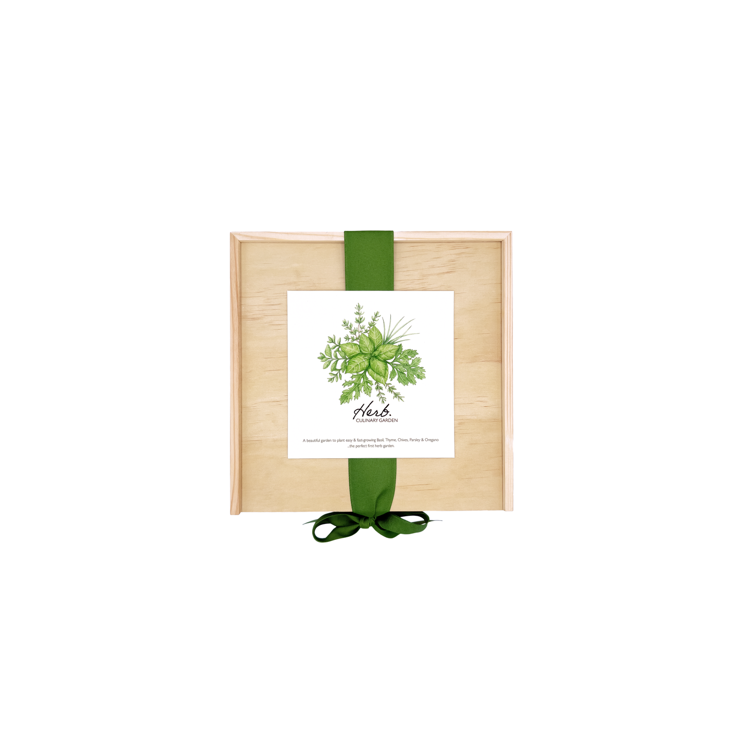 Culinary Herb Garden Kit