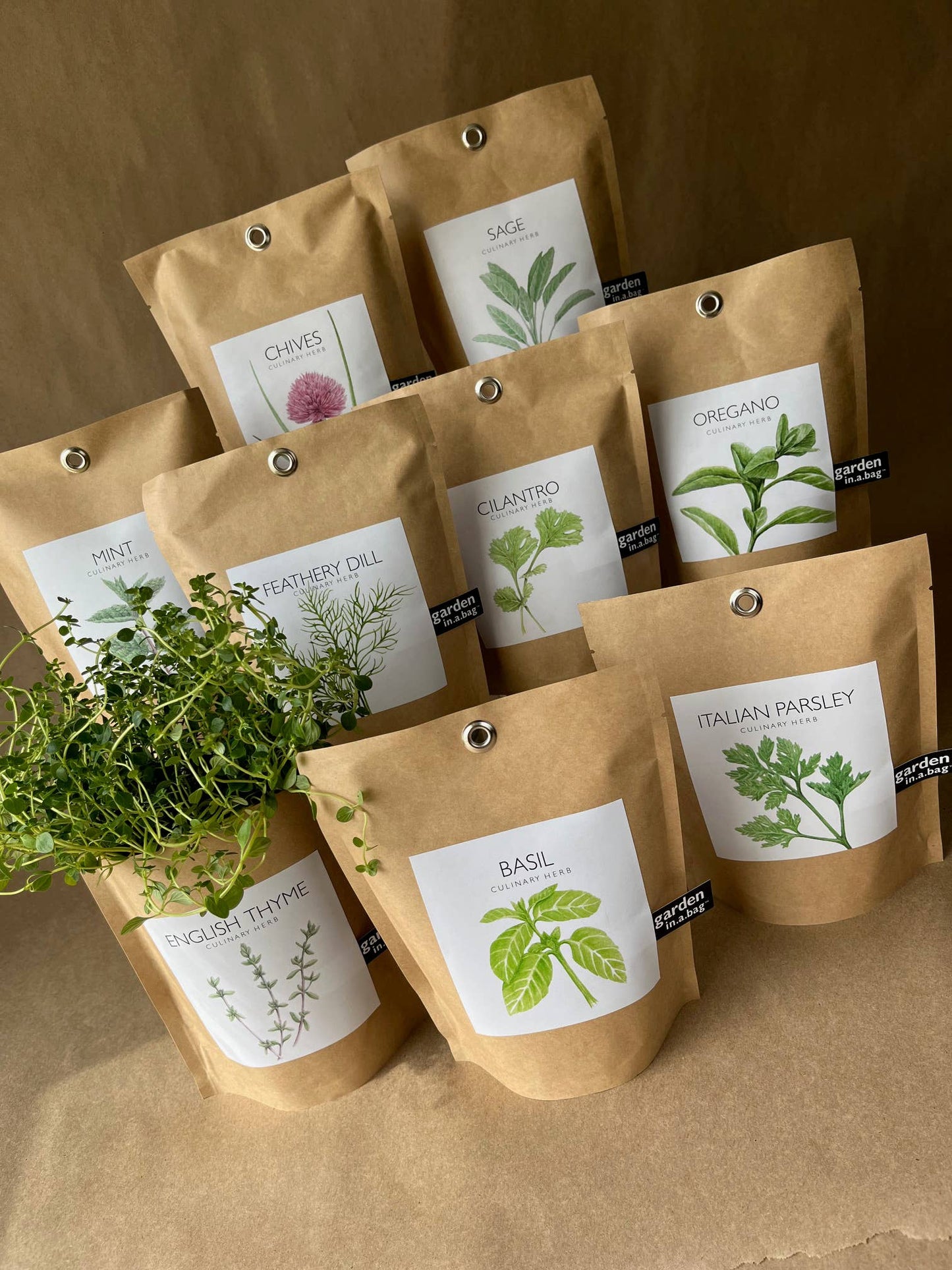 Basil Garden in a Bag | Organic Herb Grow Kit