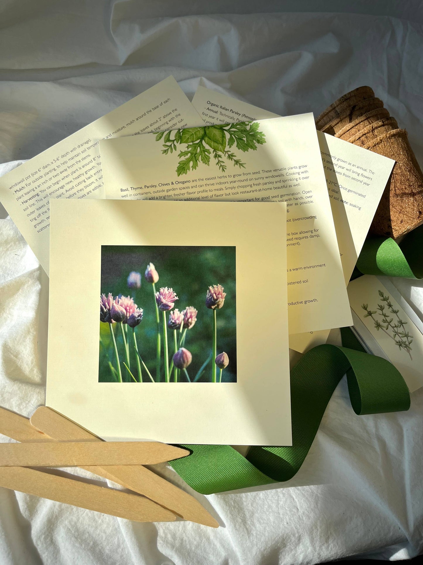 Culinary Herb Garden Kit