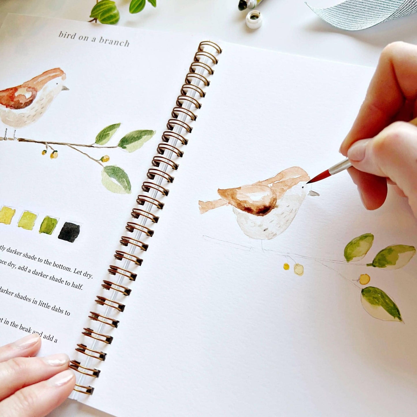 Paint-Your-Own Animal Watercolor Book