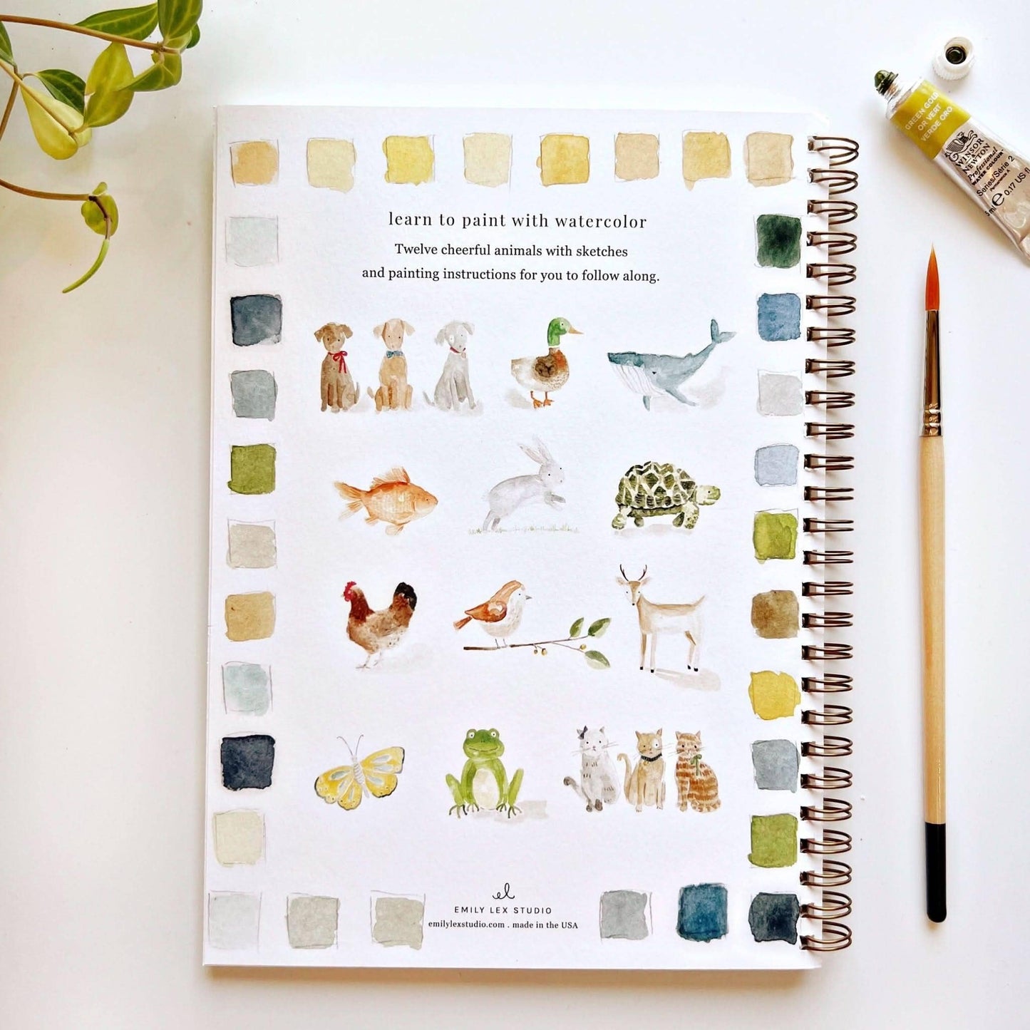 Paint-Your-Own Animal Watercolor Book