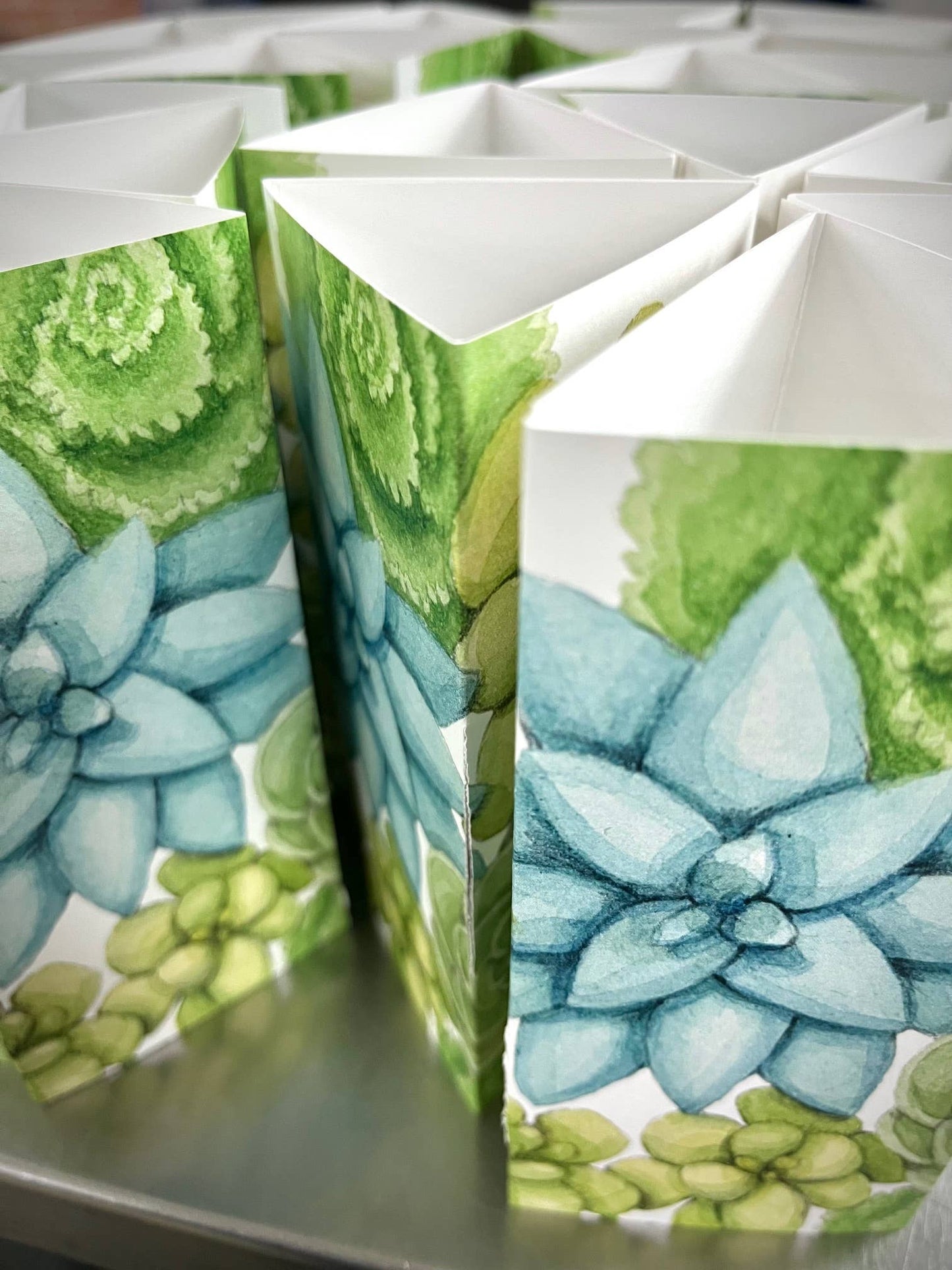 Victorian Succulent Garden Kit