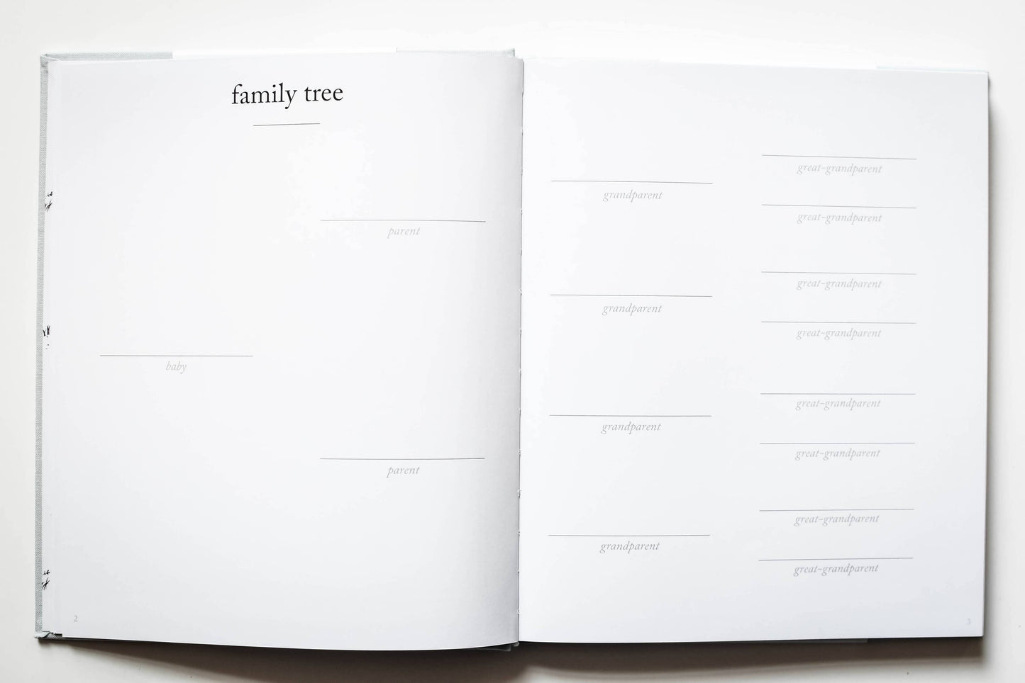 Baby's First Year Memory Book | Photo Album