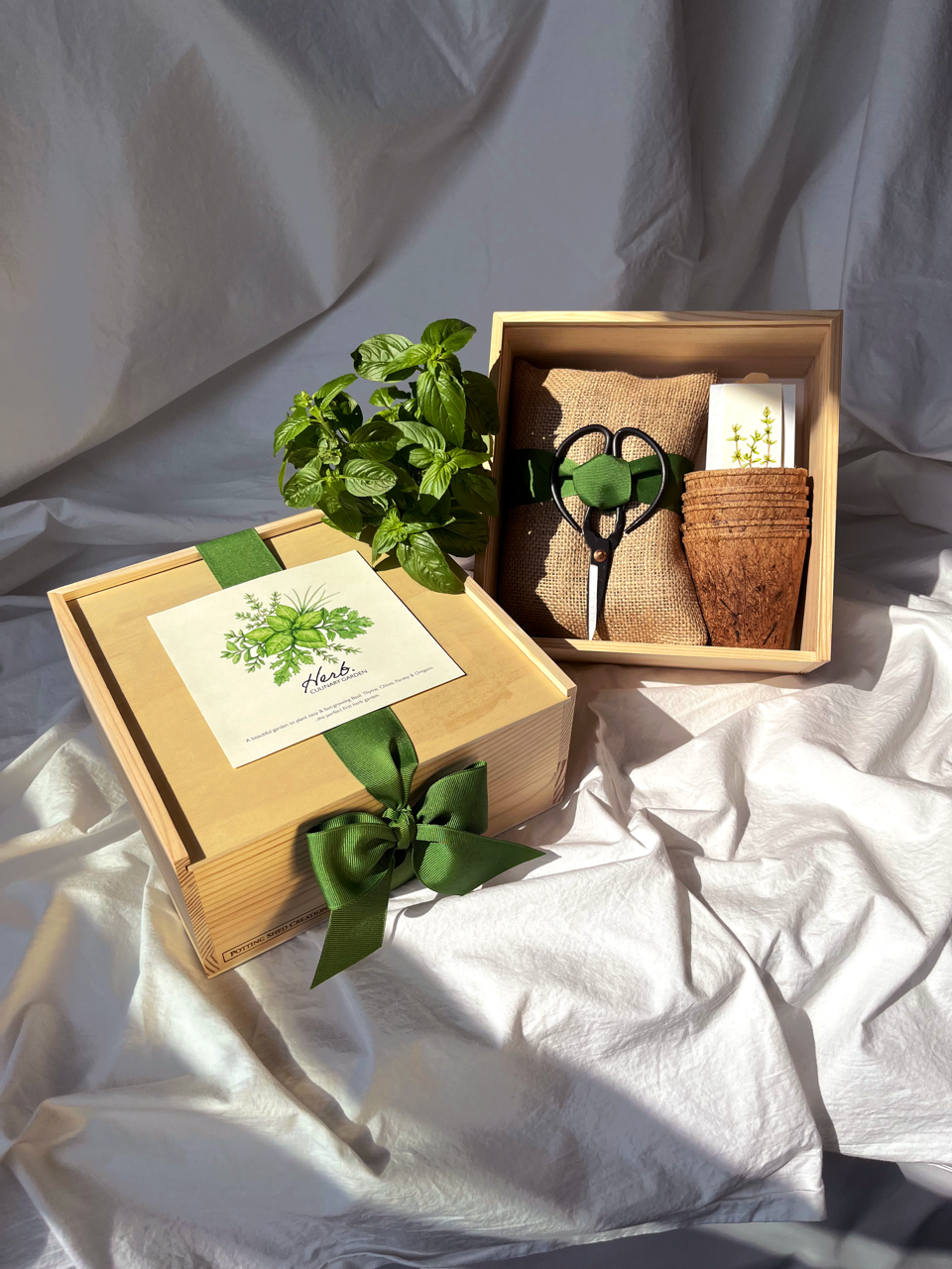 Wooden gift box with plants and gardening tools on a white fabric background
