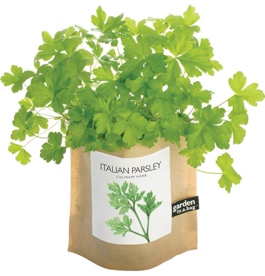 Italian Parsley Garden in a Bag | Organic Herb Grow Kit