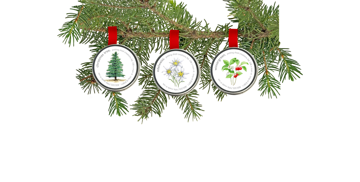 Garden Sprinkle Ornaments | Christmas Wintergreen