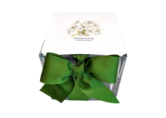 A clear glass jar candle with a large green ribbon bow tied around the neck, topped with a white lid printed with white flowers and the brand name 'PAPERWHITES WINTER GARDEN'.