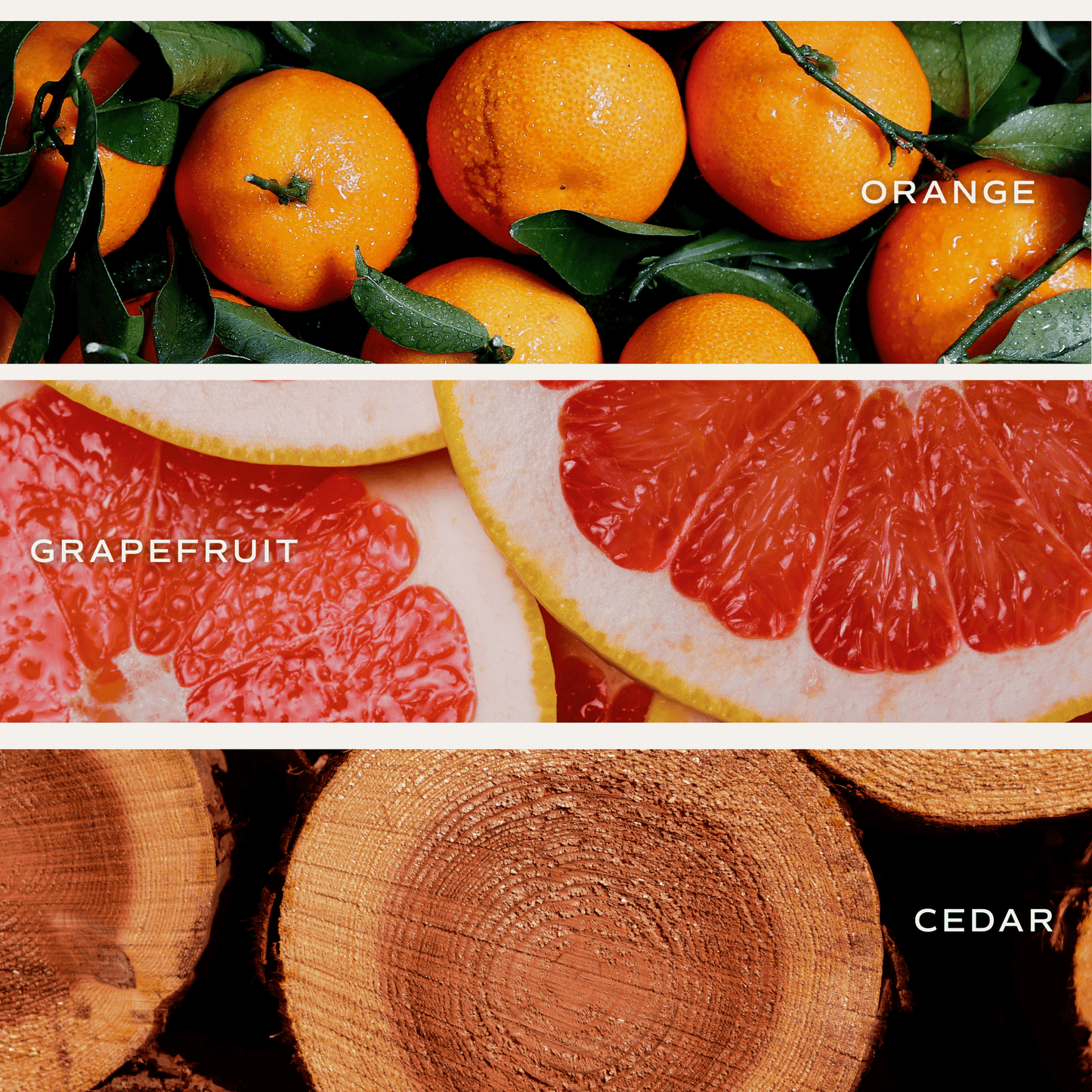 Gift Box for Couples