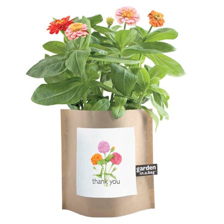 Potted plant in a brown bag with a 'thank you' label on a white background